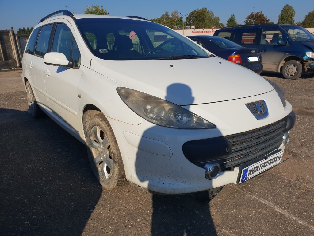 PEUGEOT 307 2007 221