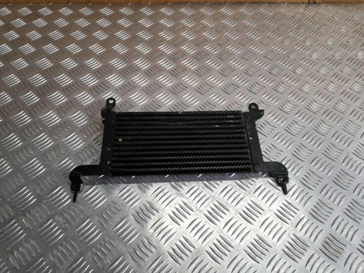 Degvielas dzēsēšanas radiators priekš CITROEN PICASSO 2007