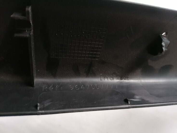Bagāžnieka vāka apdare priekš CITROEN C4 2006