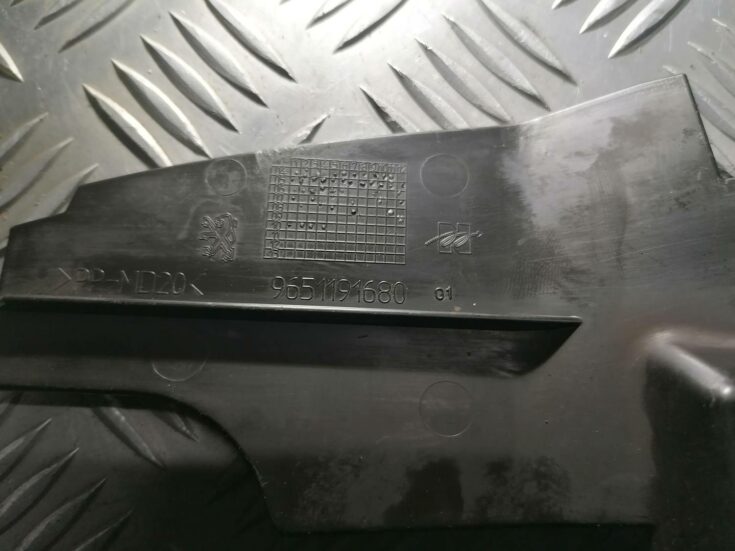 Ieplūdes gaisa deflektors/Difuzors priekš PEUGEOT 607 2010