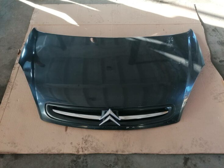 Pārsegs priekš XSARA PICASSO 2003