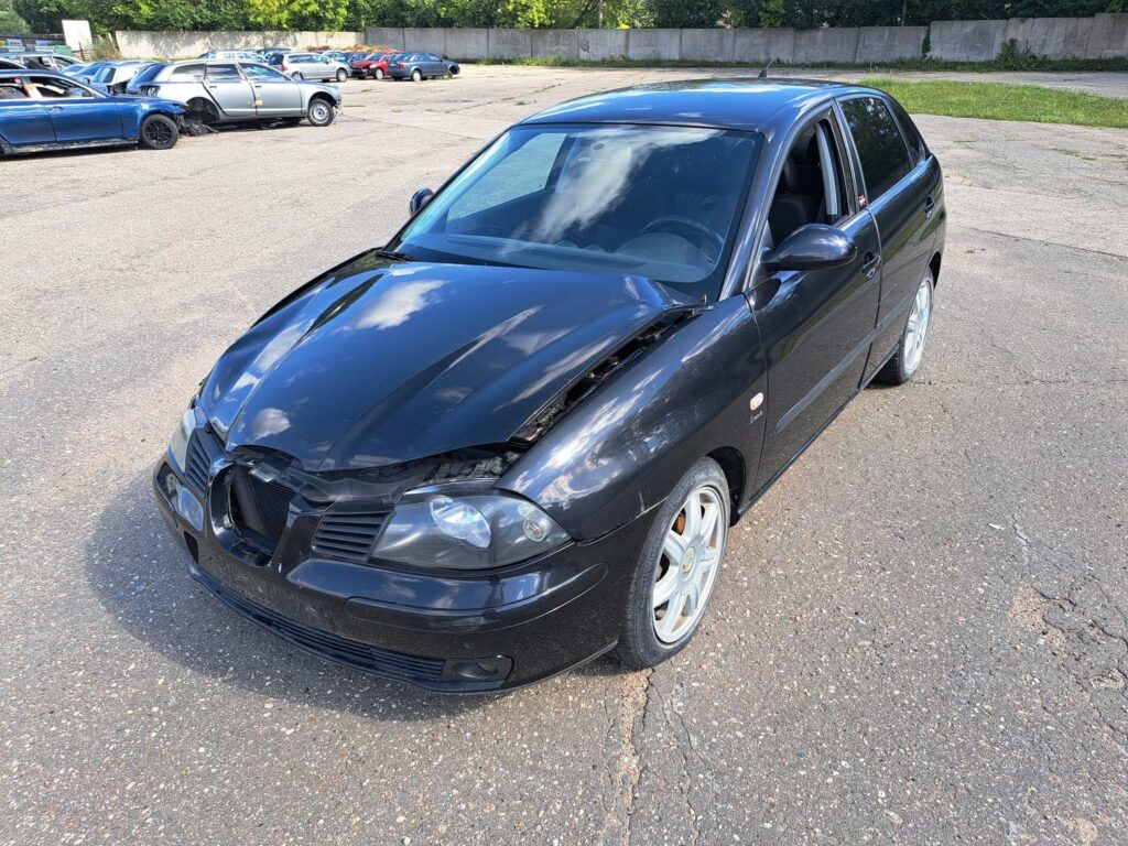 SEAT IBIZA 2005 239