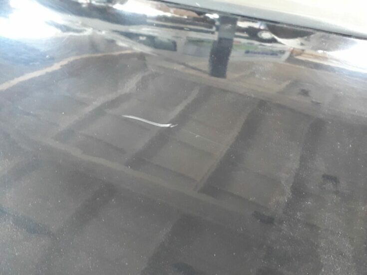 Aizmugurējās labās durvis priekš SEAT IBIZA 2005