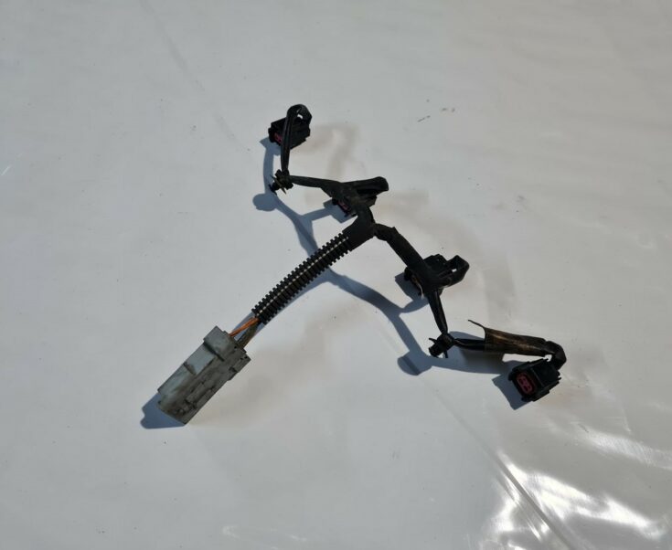 Degvielas smidzinātāju vadi priekš CITROEN C4 2006-2