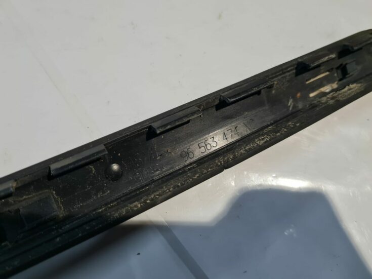 Vējstikla moldings priekš CITROEN C4 2006-2
