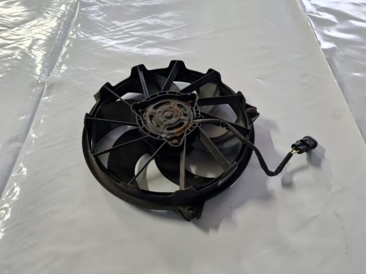 Dzesēšanas radiatora ventilators priekš CITROEN C8 2005