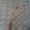 Ārējais spogulis, pa kreisi priekš BMW 6 E63 645 2004