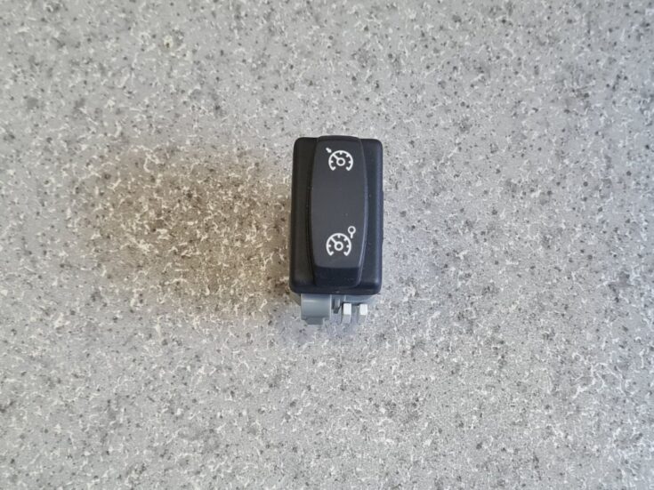 Kruīza kontroles rokturis/poga priekš RENAULT ESPACE IV 2006